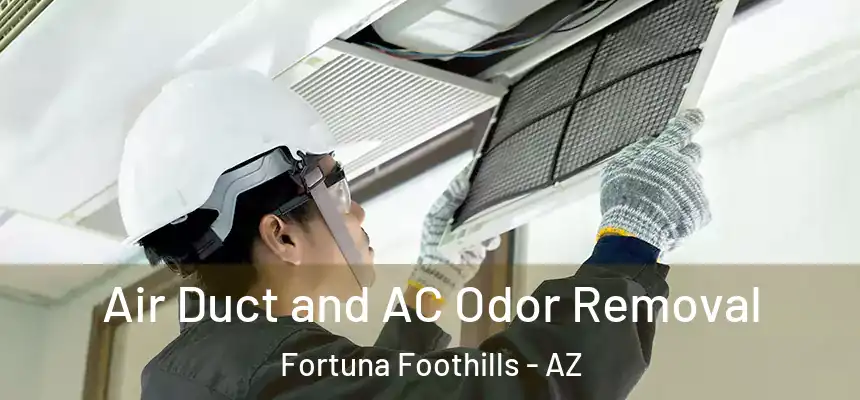  Air Duct and AC Odor Removal Fortuna Foothills - AZ