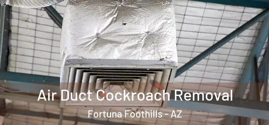  Air Duct Cockroach Removal Fortuna Foothills - AZ