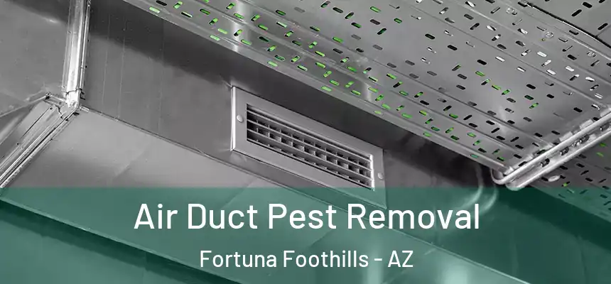  Air Duct Pest Removal Fortuna Foothills - AZ