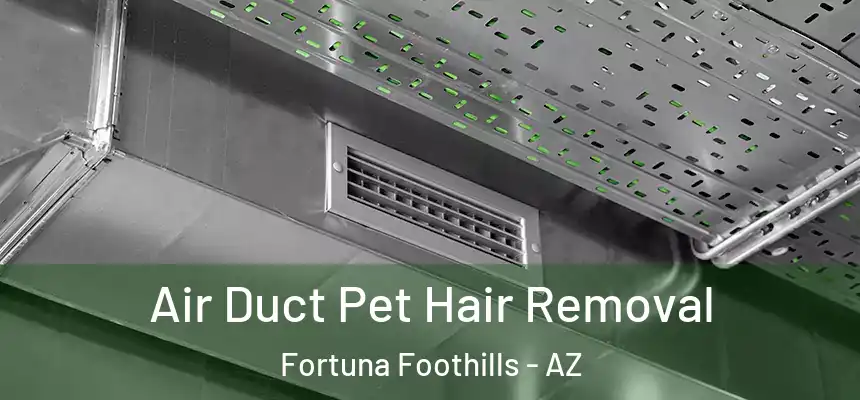  Air Duct Pet Hair Removal Fortuna Foothills - AZ