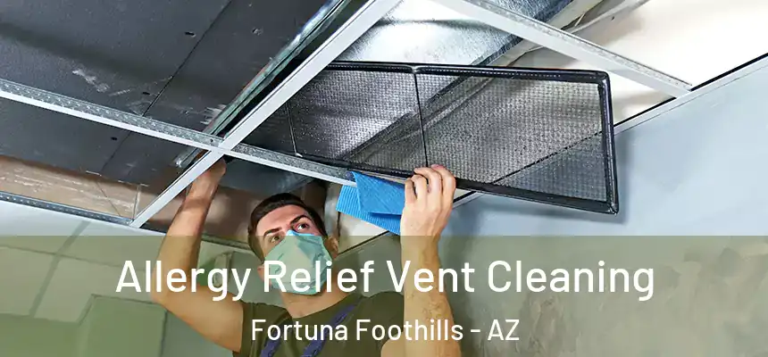 Allergy Relief Vent Cleaning Fortuna Foothills - AZ