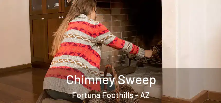  Chimney Sweep Fortuna Foothills - AZ