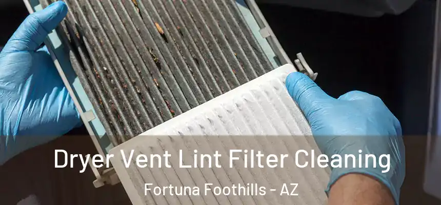  Dryer Vent Lint Filter Cleaning Fortuna Foothills - AZ