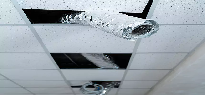 Affordable HVAC Sanitizing After Pest Removal in Fortuna Foothills