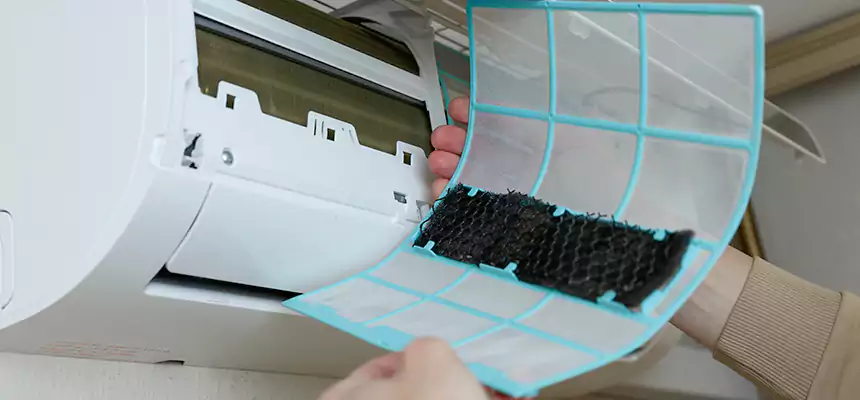 Gentle Ductwork Odor-Control Pet Dander Duct Cleaning in Fortuna Foothills, AZ