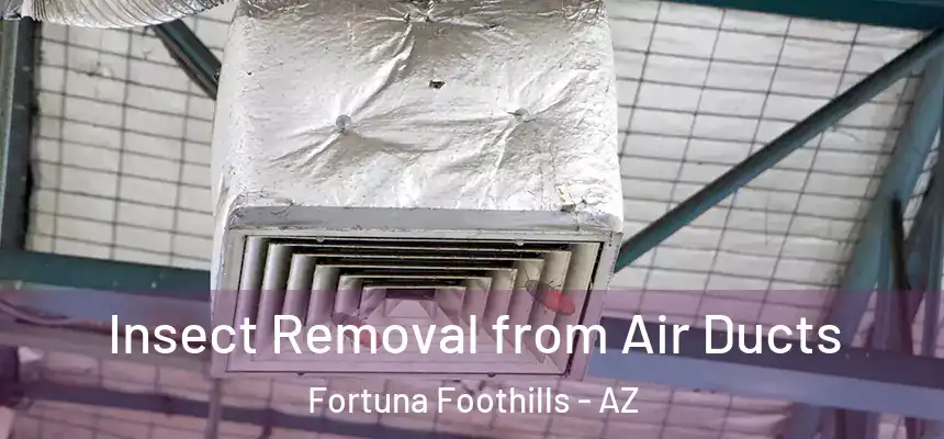  Insect Removal from Air Ducts Fortuna Foothills - AZ