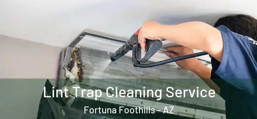  Lint Trap Cleaning Service Fortuna Foothills - AZ