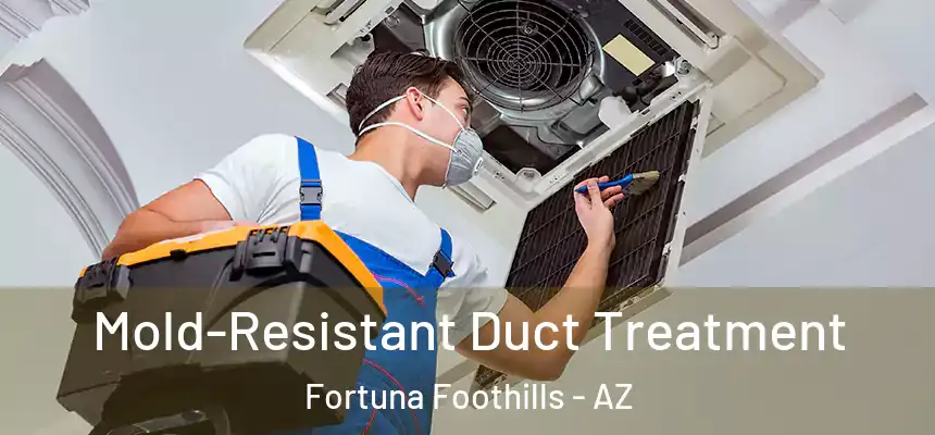  Mold-Resistant Duct Treatment Fortuna Foothills - AZ