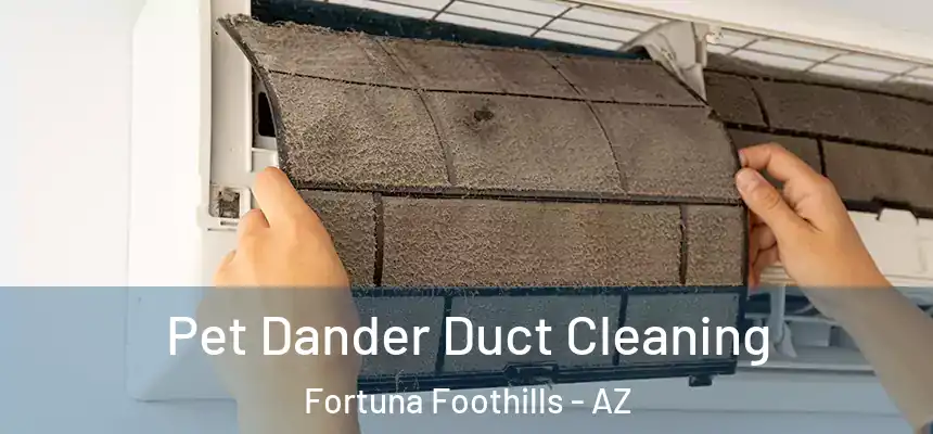 Pet Dander Duct Cleaning Fortuna Foothills - AZ