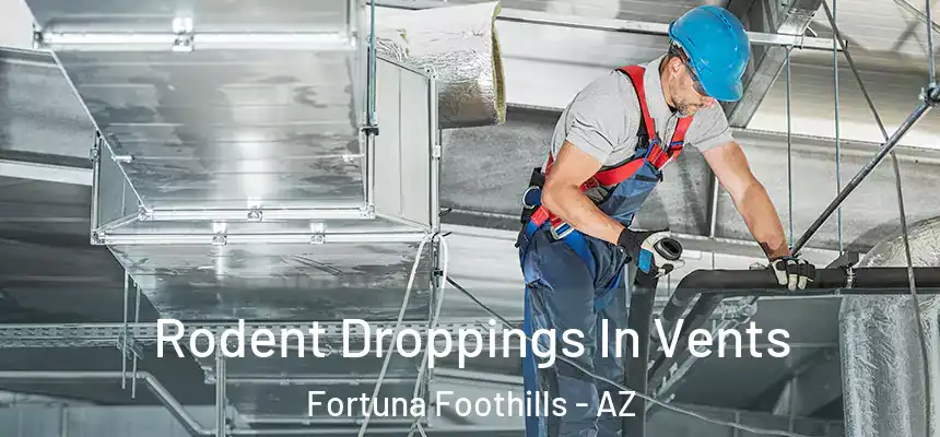  Rodent Droppings In Vents Fortuna Foothills - AZ