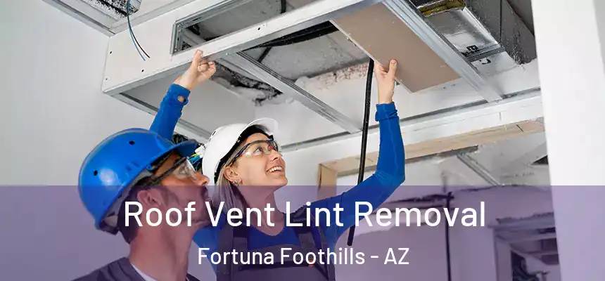  Roof Vent Lint Removal Fortuna Foothills - AZ