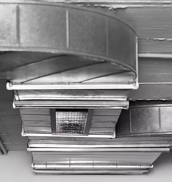 Professional Air Duct Pest Removal in Fortuna Foothills, AZ