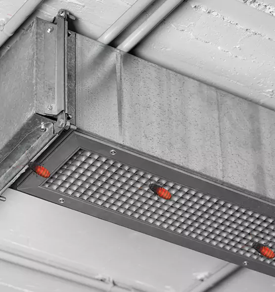 Affordable Insect Removal from Air Ducts in Fortuna Foothills, AZ