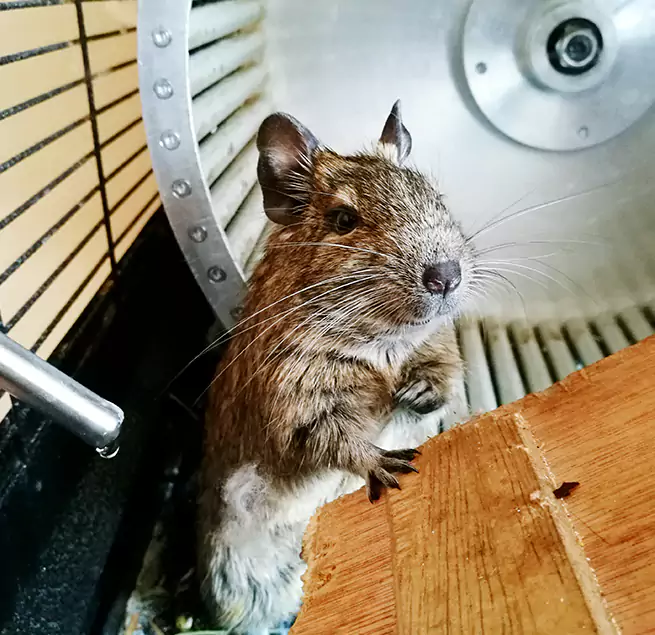 Why Homeowners & Businesses Trust Us Fortuna Foothills, AZ